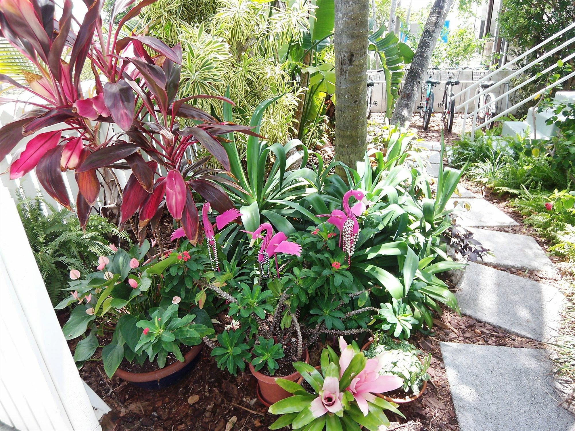 The Grand Guesthouse Key West Bagian luar foto